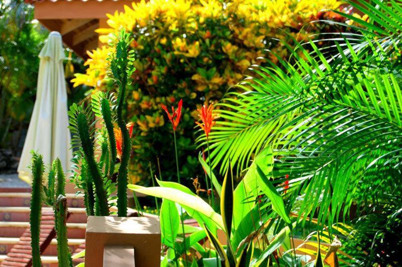 Hotel Ritmo Tropical Playa Santa Teresa  Екстер'єр фото